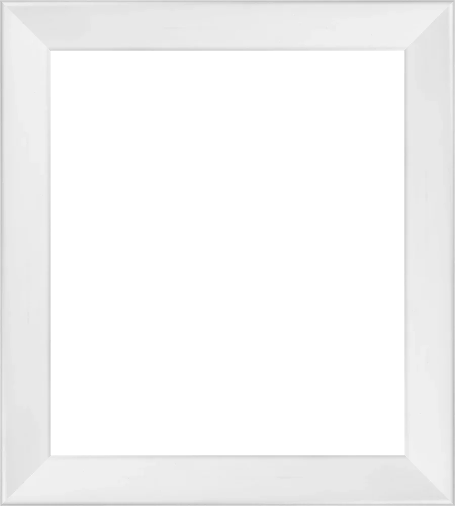 frame1