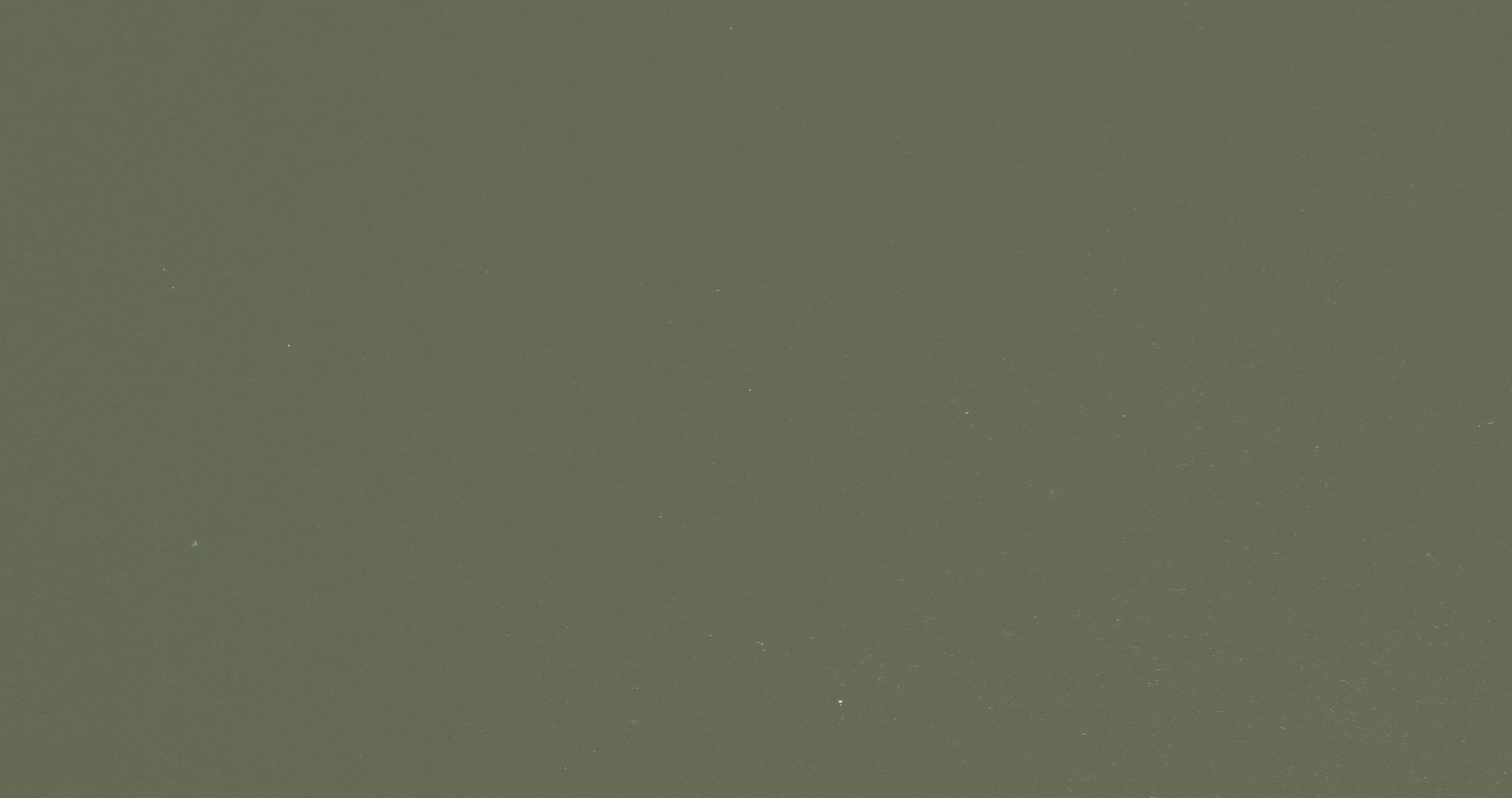 Ever Green